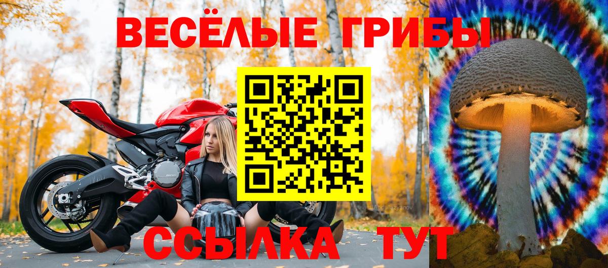 Псилоцибиновые грибы GOLDEN TEACHER Будённовск